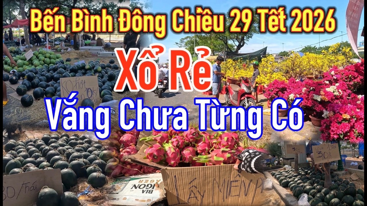 Vắng khách và ế ẩm tại Chợ hoa Bến Bình Đông chiều 29 Tết 2026: hoa, dưa tết giảm giá mạnh.