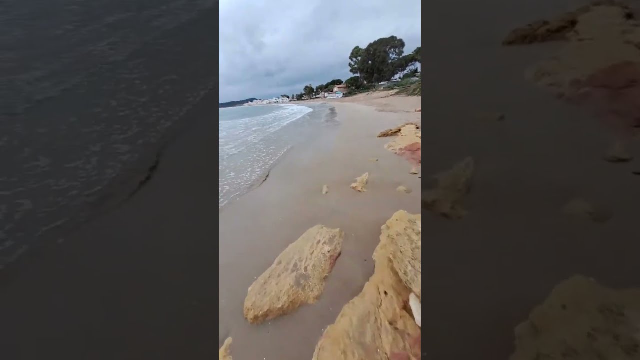 Gabriel Alfonso está en vivo desde la Costa Dorada del mar Mediterráneo 🌊 🐚 🐟 🐡 🦈 🐠 #envivo 