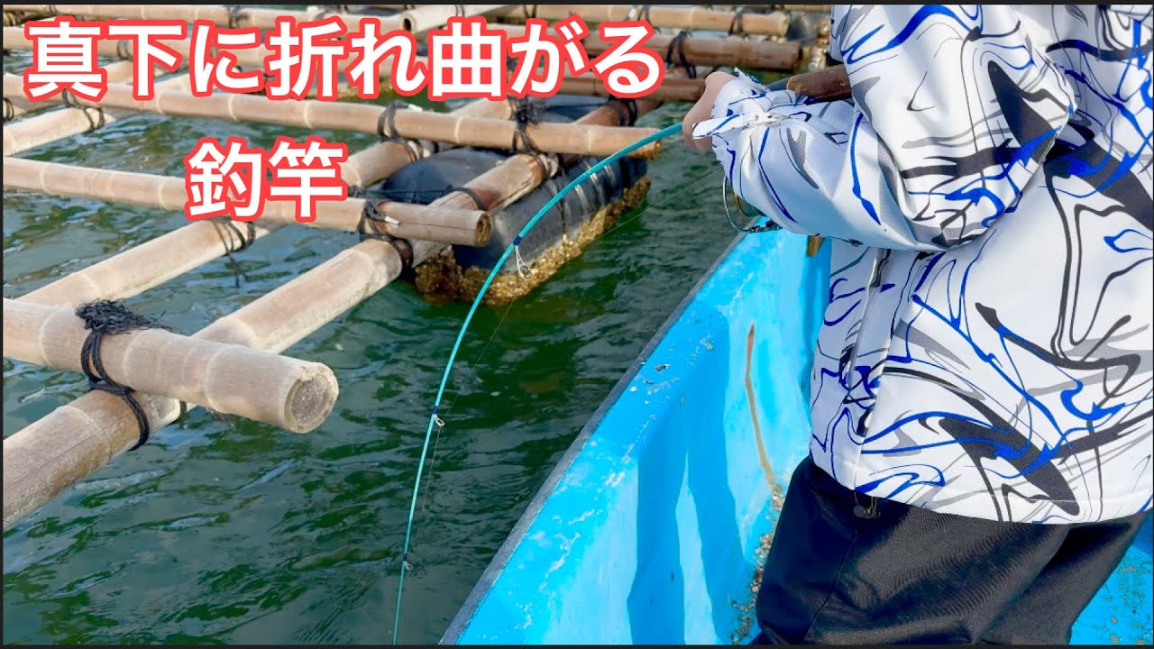 1月1日に佐渡の海で牡蠣をばら撒き大物を狙ってみると　Large quantities of oysters are dropped into the ocean and huge fish are