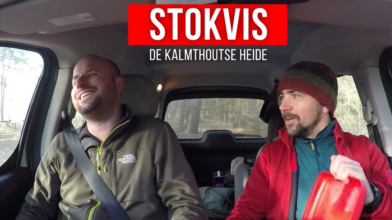 De Kalmthoutse Heide - STOKVIS