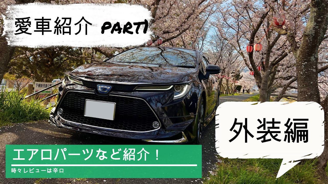 オンリーワンのカローラツーリングW×Bを目指してカスタムpart1 外装編【愛車紹介】【ZWE211W】【TOYOTA COROLLA TOURING】