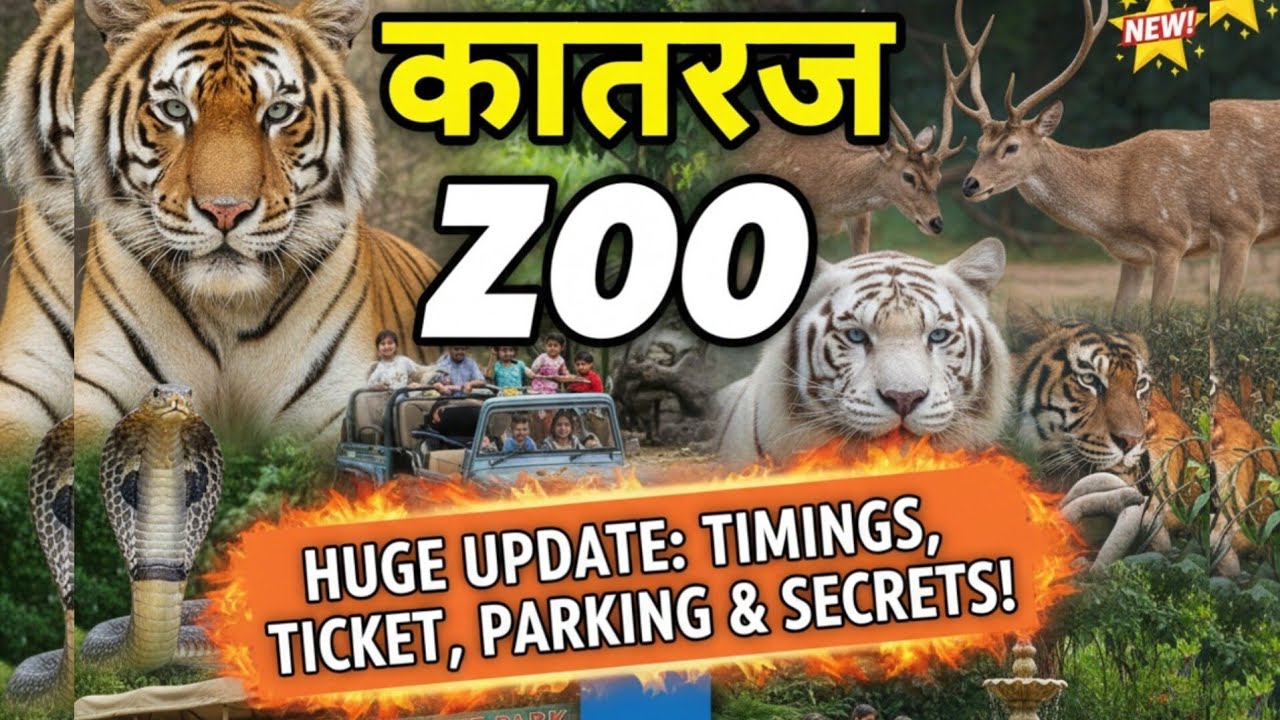 Katraj Zoo Pune Full Tour | Tickets, Parking, Snake Park & More | Rajiv Gandhi Zoological Park pune