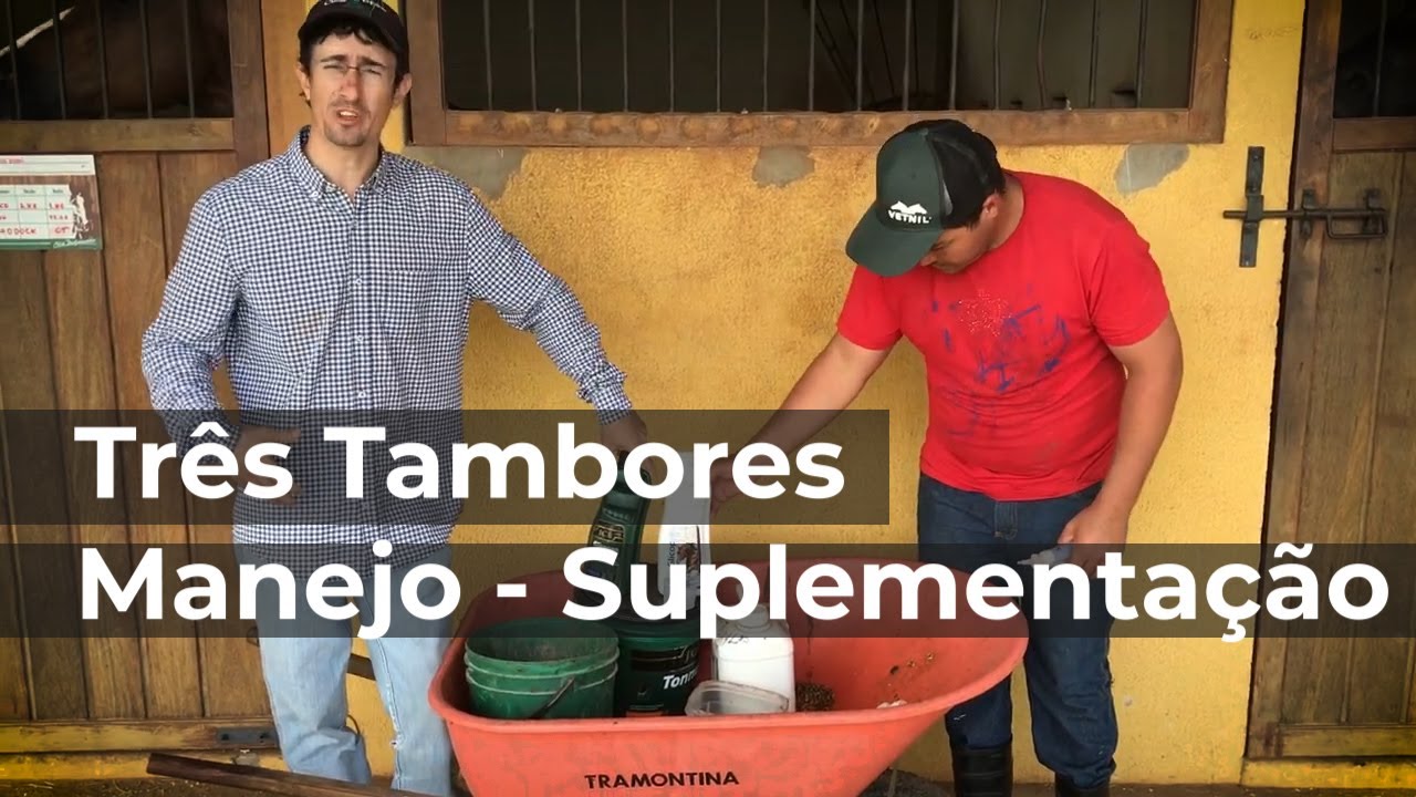 Manejo da tropa - Três tambores - Ep02 Suplementação - Décio Talon