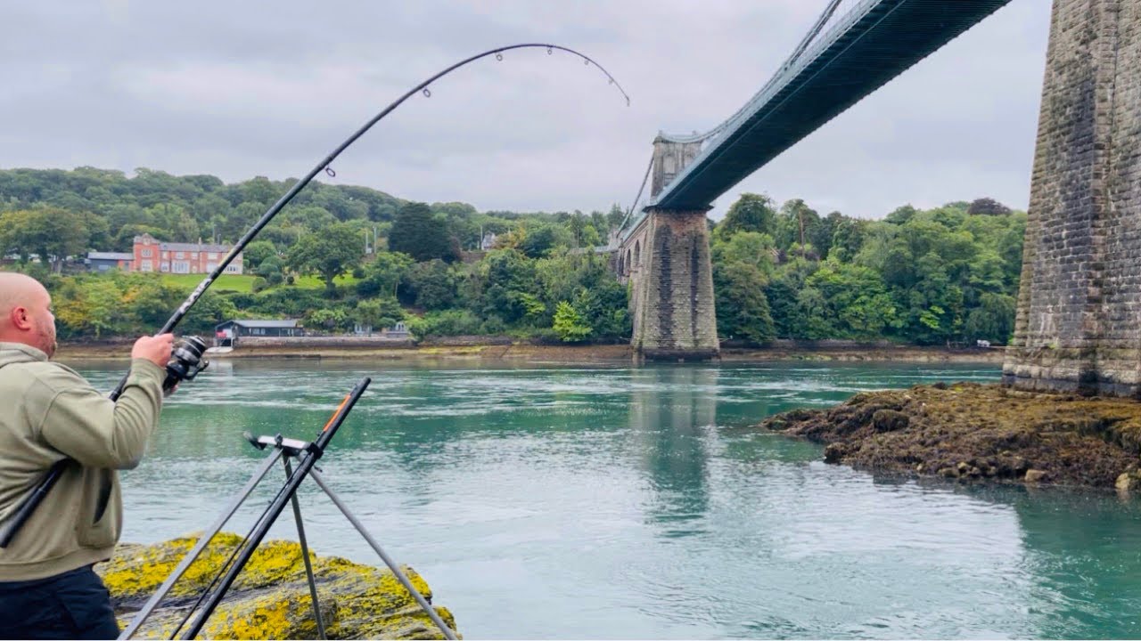 Sea Fishing on the Menai Straights
