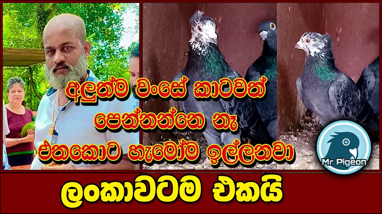 කාටත් නොපෙන්වපු අලුත්ම වංසේ අපි බැලුවේ මෙහෙමයි
