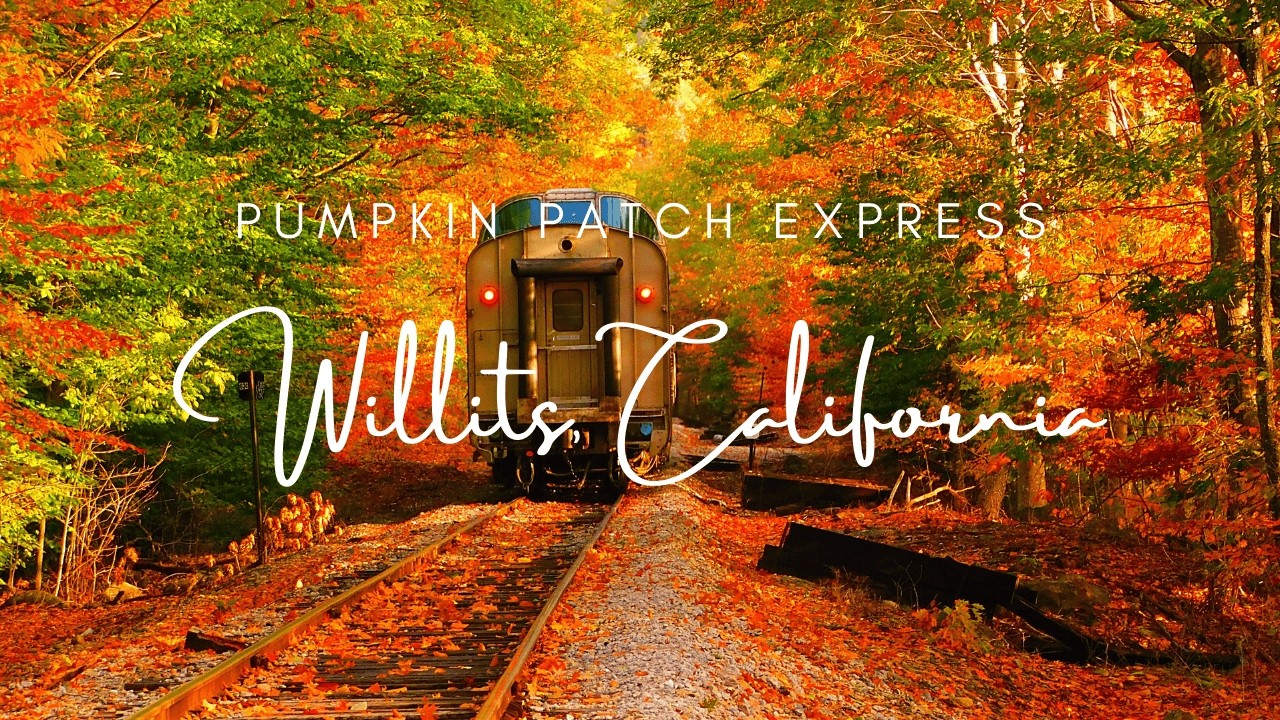 🎃 Pumpkin Patch Express on the Skunk Train: Fall Fun & Ghost Dog Shorty 🐾 | Willits, CA