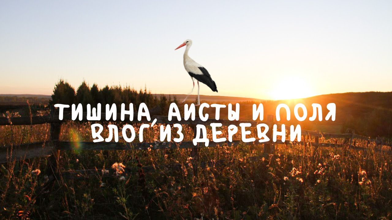 Смоленские дневники | Отдых в заповедной зоне