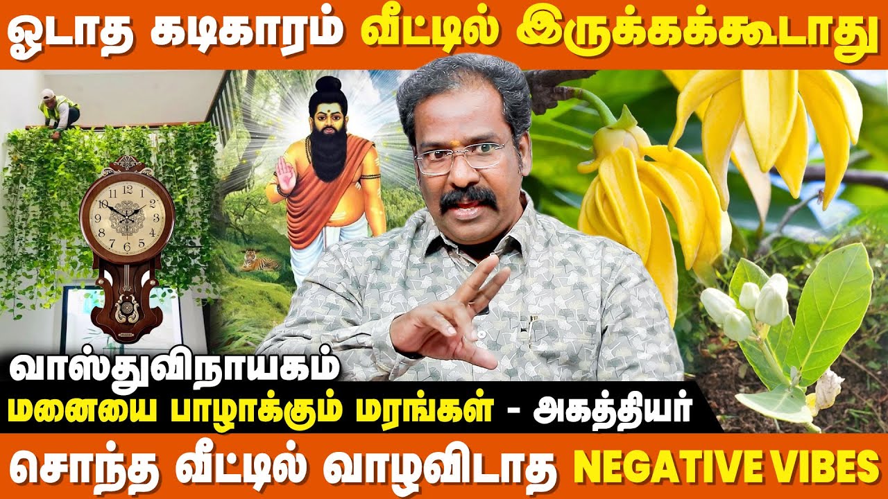 Money Plant இல்ல அது Evil Plant - Vasthu Vinayagam | Vastu Doubts | Vastu Shastra for Home