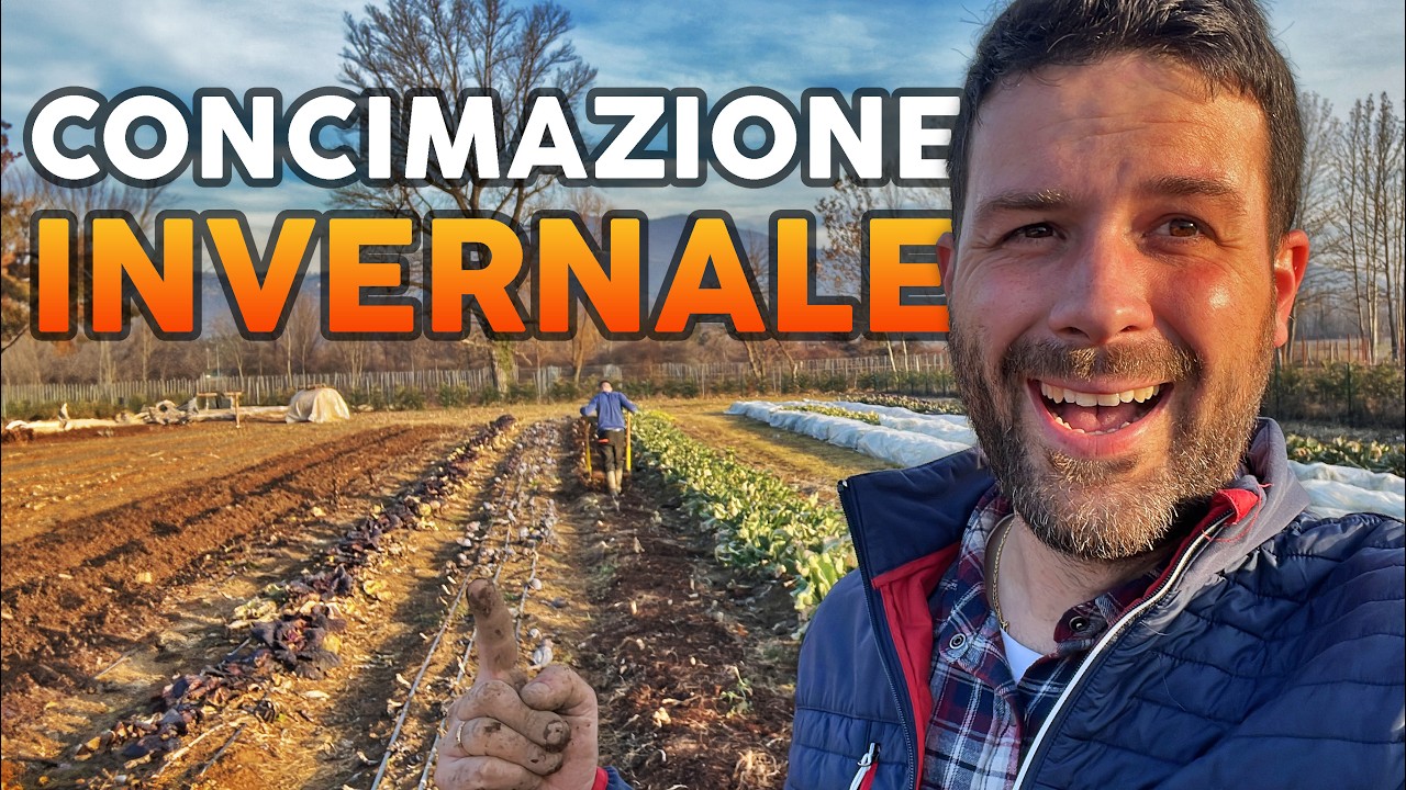 Come CONCIMARE l'orto BIOLOGICO con LETAME di cavallo IDEALE per l'INVERNO