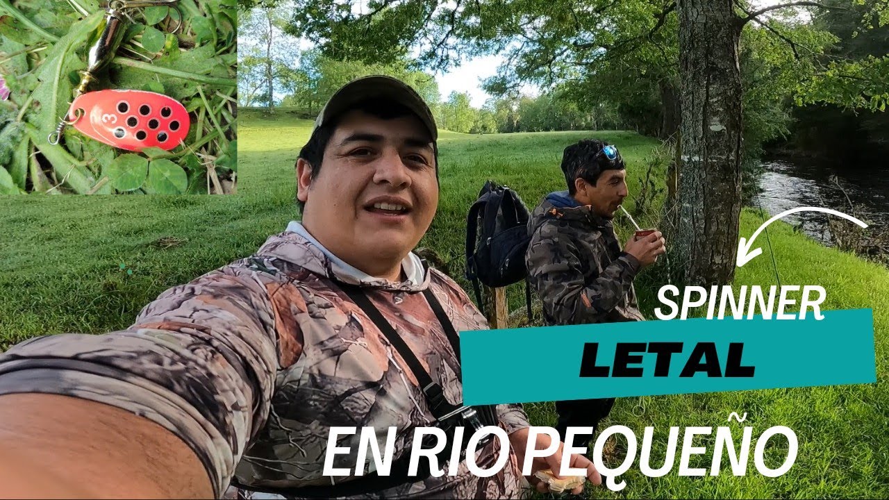EL SPINNER QUE NUNCA FALLA // PESCA CON DEVOLUCION // TRUCHAS EN EL SUR DE DE CHILE