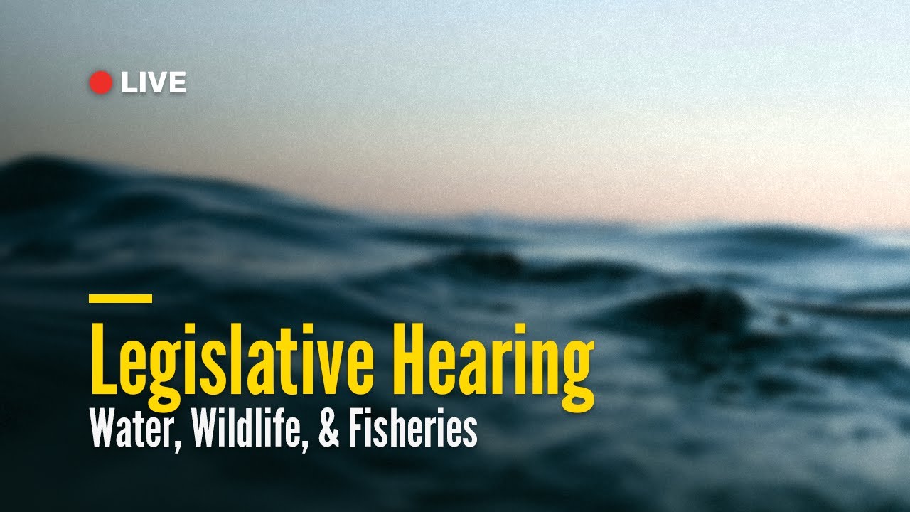 Water, Wildlife and Fisheries Legislative Hearing | November 19, 2025