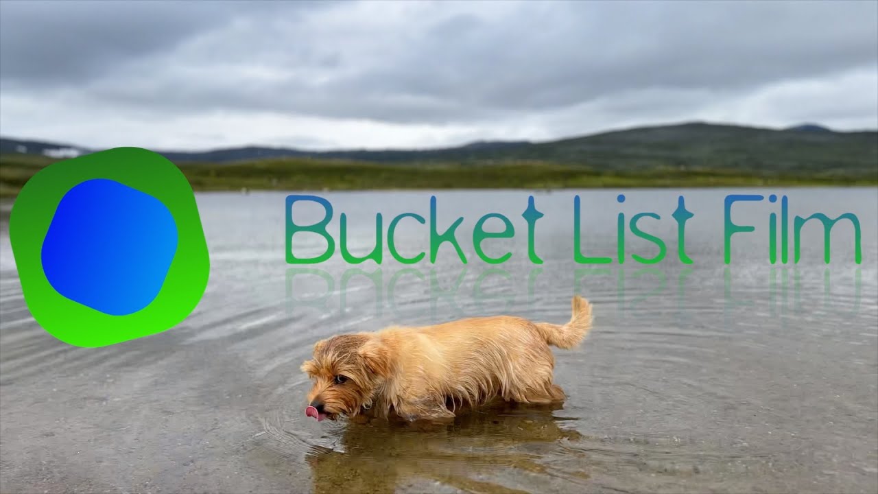 Vandring med hund - Väster om Skarsfjället och Sylarna