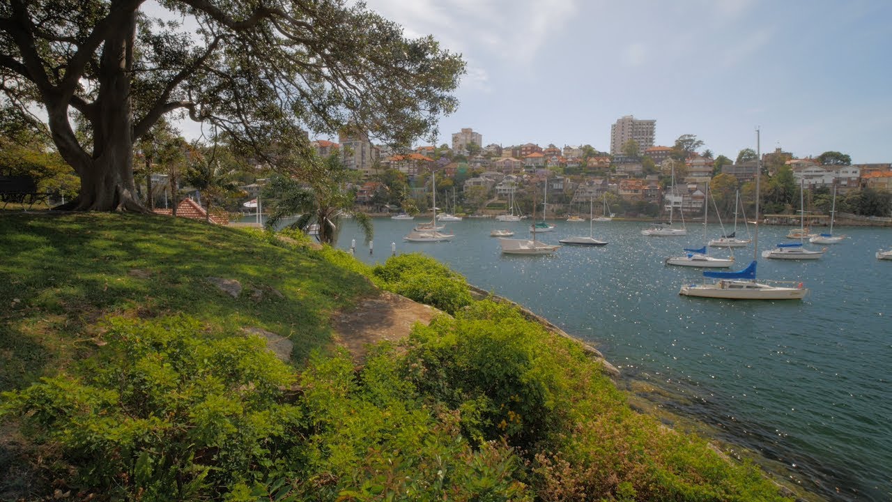 Sydney Video Walk 4K - Cremorne Point Spring 2017