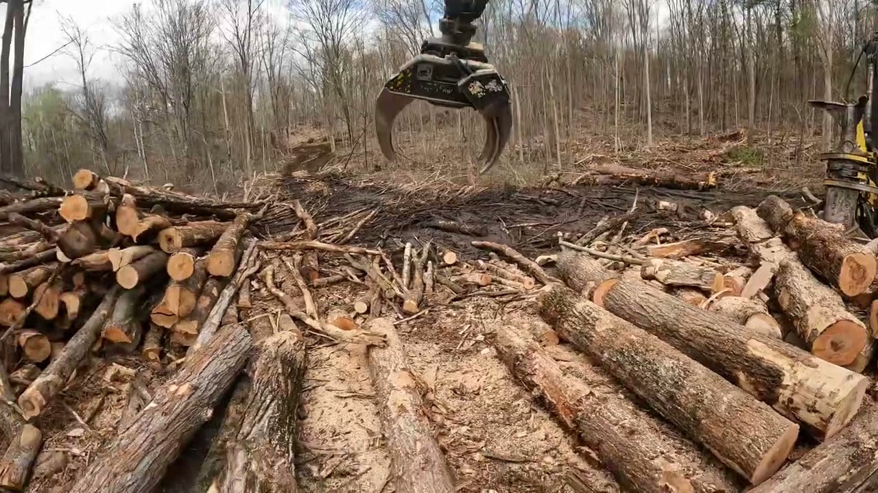 How We cut Logs with our Grapple Saw