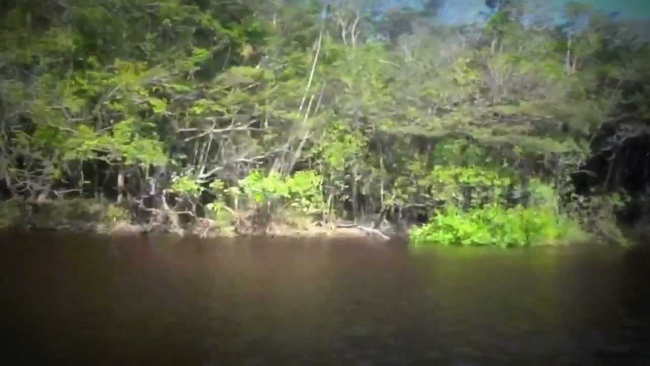 FISH ON! Peacock Bass Fishing at Agua Boa Lodge, Amazon River, Brazil