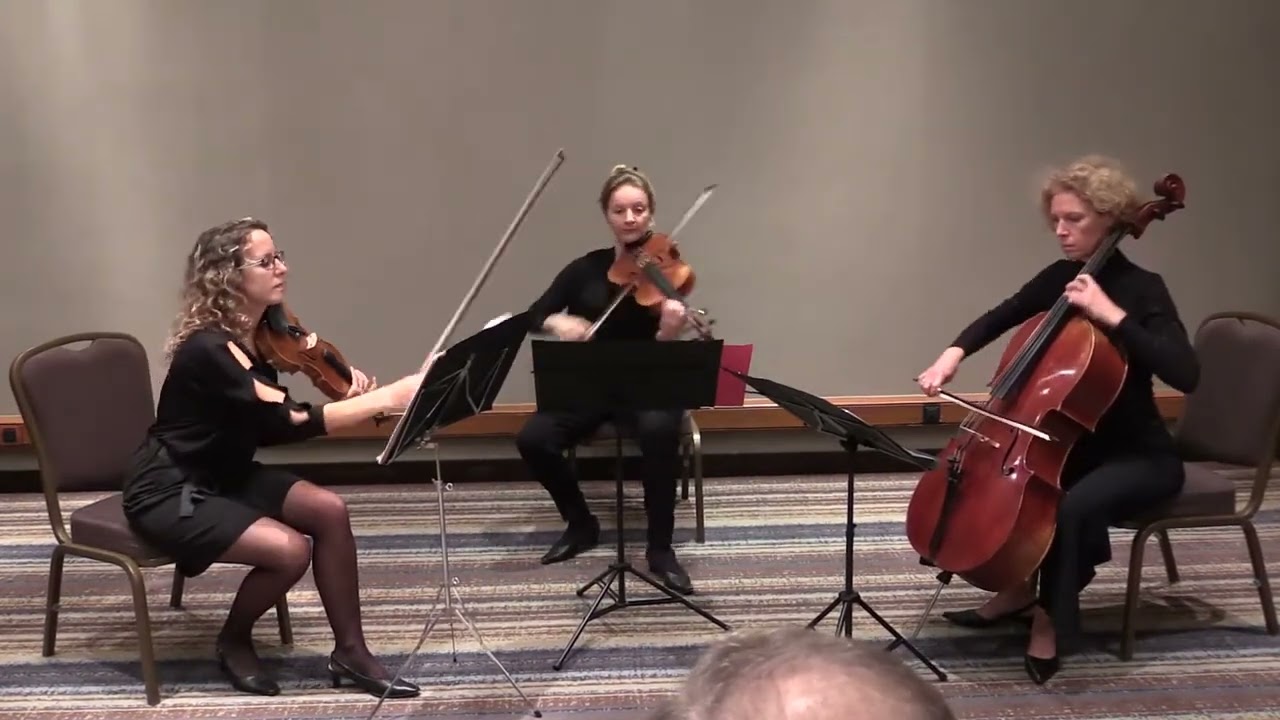 C&eacute;r&eacute;monie de Remise de la bourse &laquo;en m&eacute;moire de Claude Levy &raquo; 2017-2019 - Introduction musicale