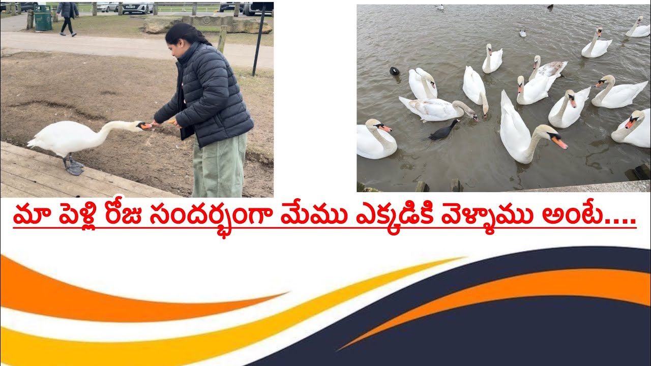 మా పెళ్లి రోజు సందర్భంగా మేము ఎక్కడికి వెళ్ళాము అంటే….🥰🇬🇧💞#youtube#youtubevideos#trending#wedding#uk