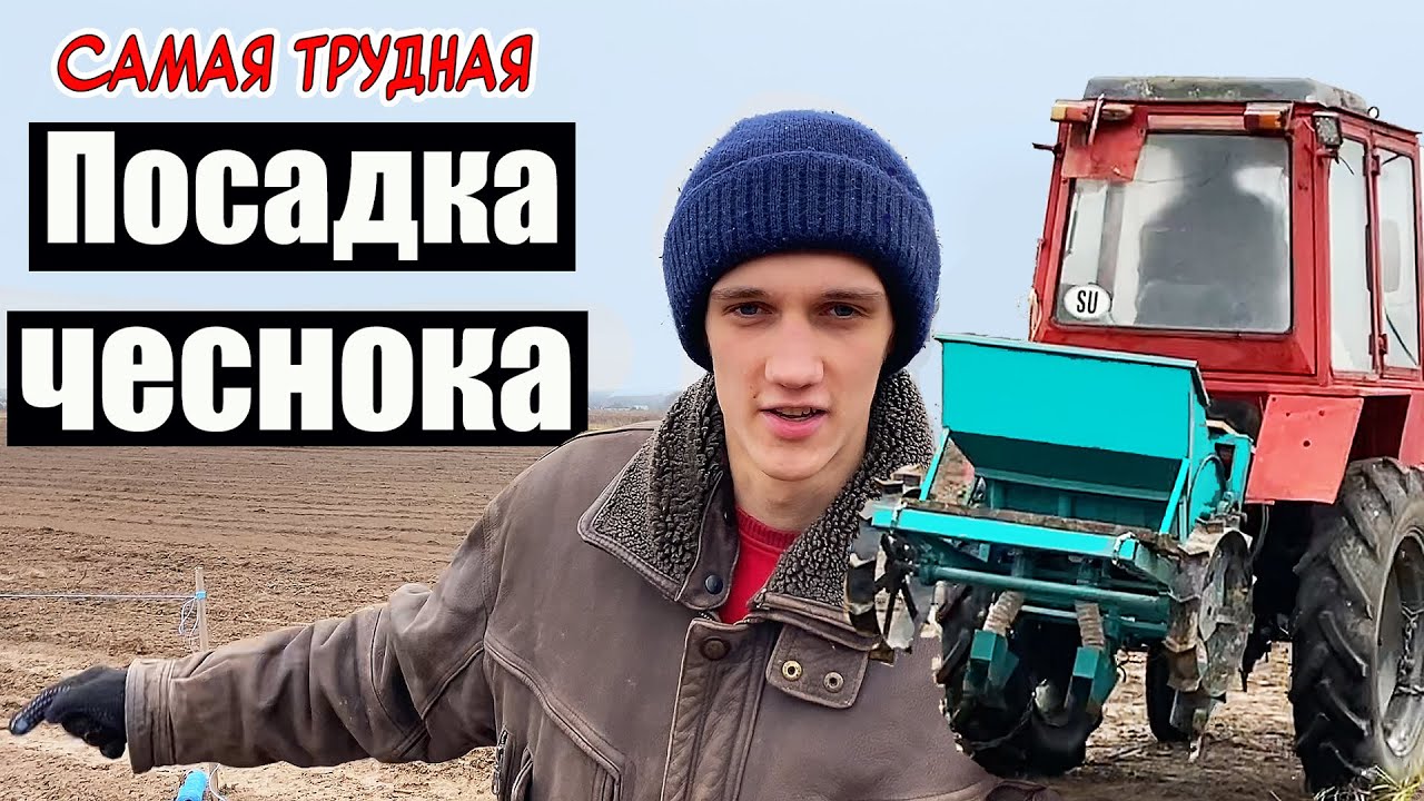 ШОК Контент - как мы ЧЕСНОК сажали и как переделать сажалку Болтенкова.