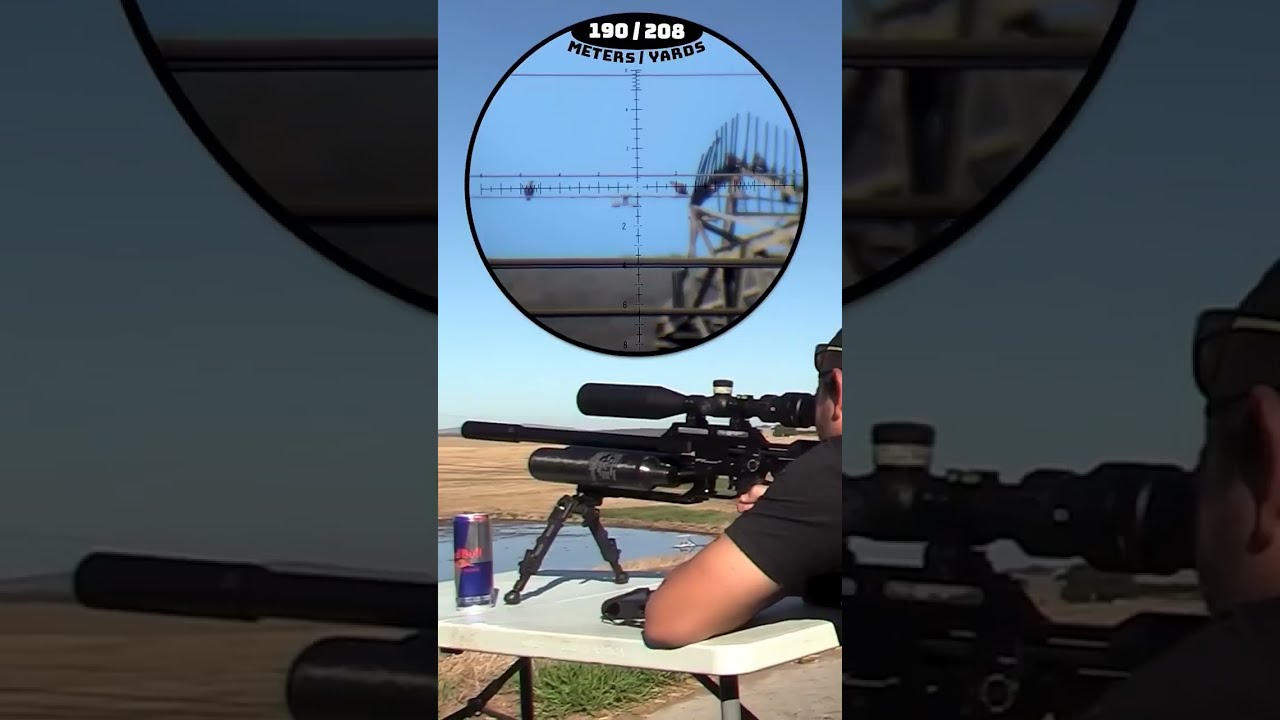 Long-Range Air Gun Pest Control #fxairguns