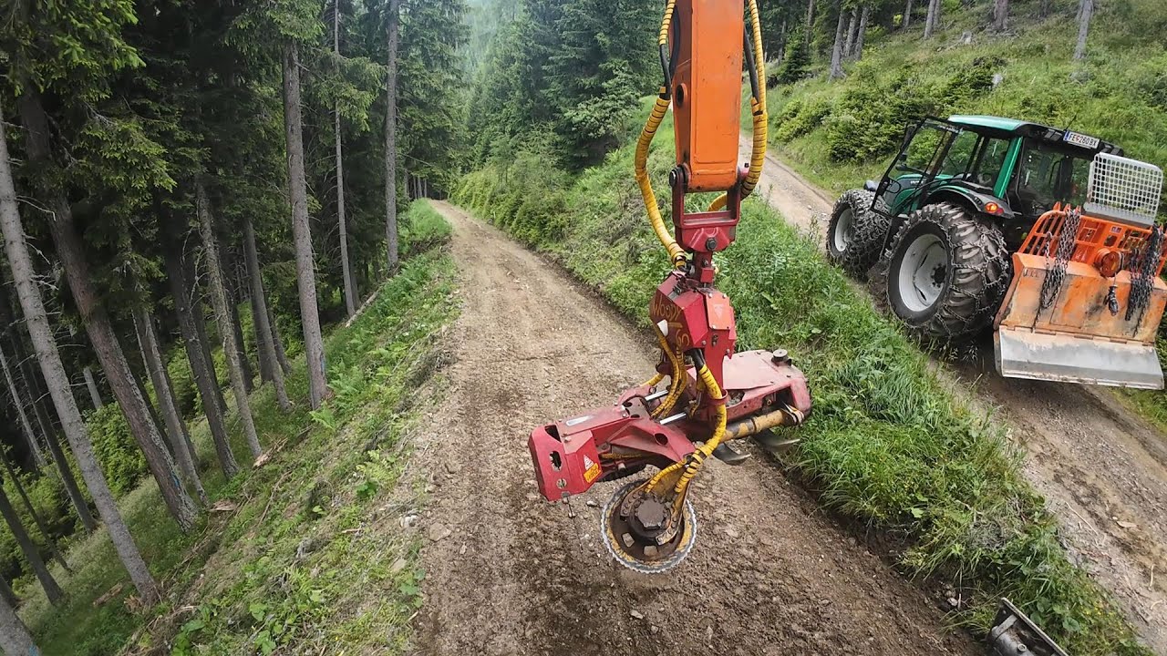 🌲 Fällarbeiten mit Baggerprozessor und 560XP 🌲