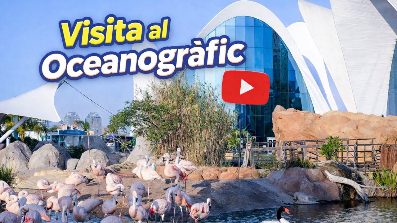 OCEANOGRÀFIC VALENCIA🐟🪸 #youtube #travel #new #valencia #newvideo #travelvlog #oceanografic #viajes