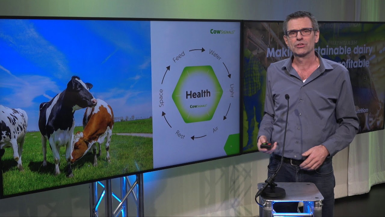 Six dairy farm management tips to increase longevity of dairy cows