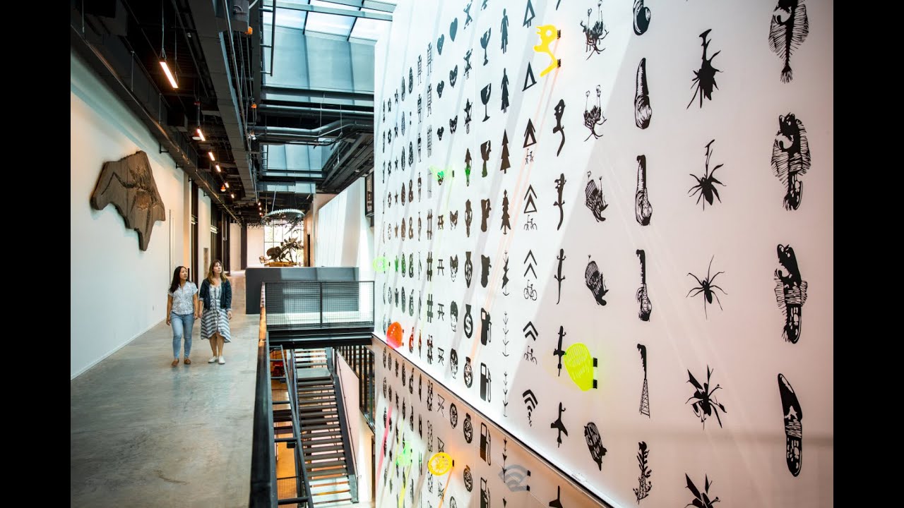 The Burke Museum Vision + Thank You