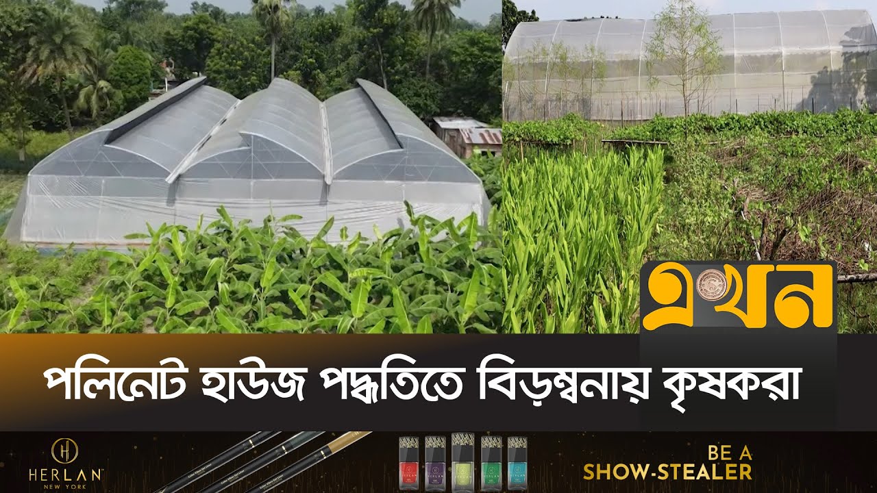 স্বপরাগায়ণ বীজ সরবরাহসহ প্রশিক্ষণের দাবি | Pollinet House | Naogaon | Ekhon TV