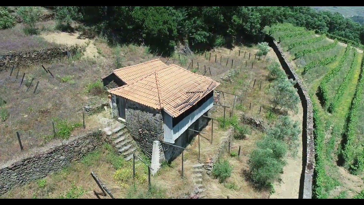 Quinta - Vila Marim, Mesão Frio