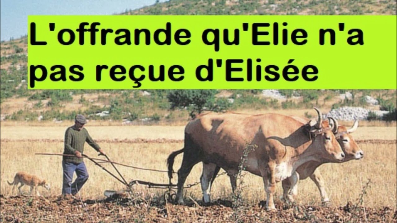 LE MANTEAU D'ELIE (Eric Ruiz)