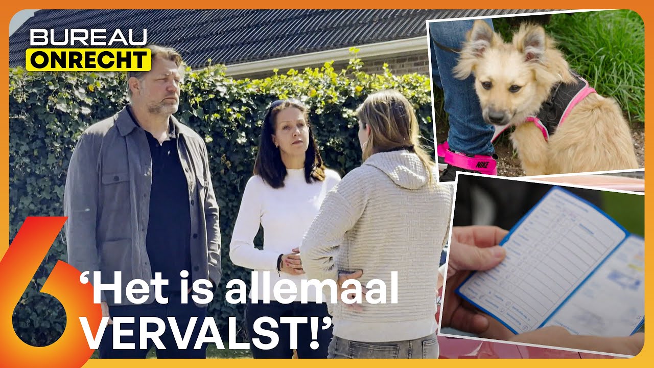 OPLICHTER  verkoopt NEPPE POMERIAAN met VALSE PAPIEREN! | Bureau Onrecht