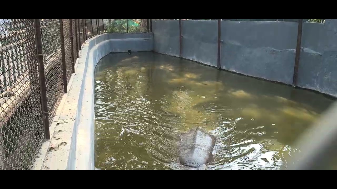 Patna zoo 