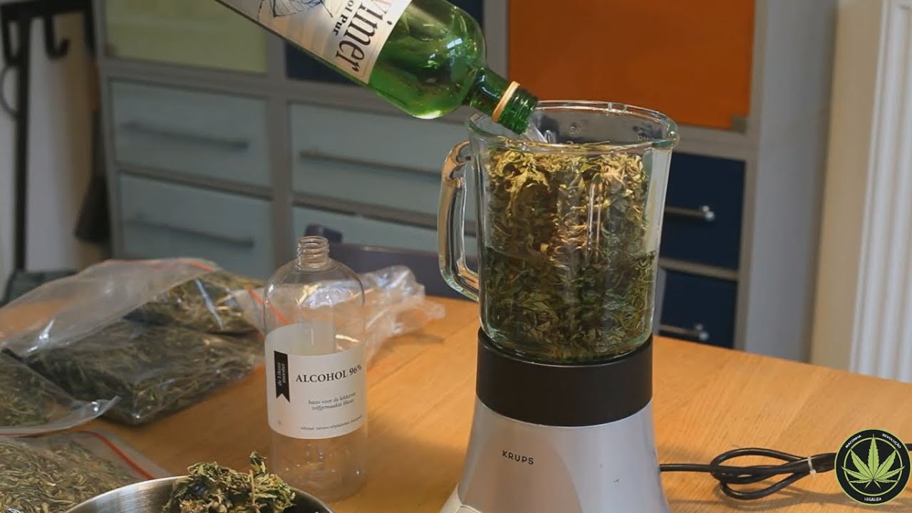 CANNABIS &Oacute;LEO - COMO FAZER &Oacute;LEO MACONHA