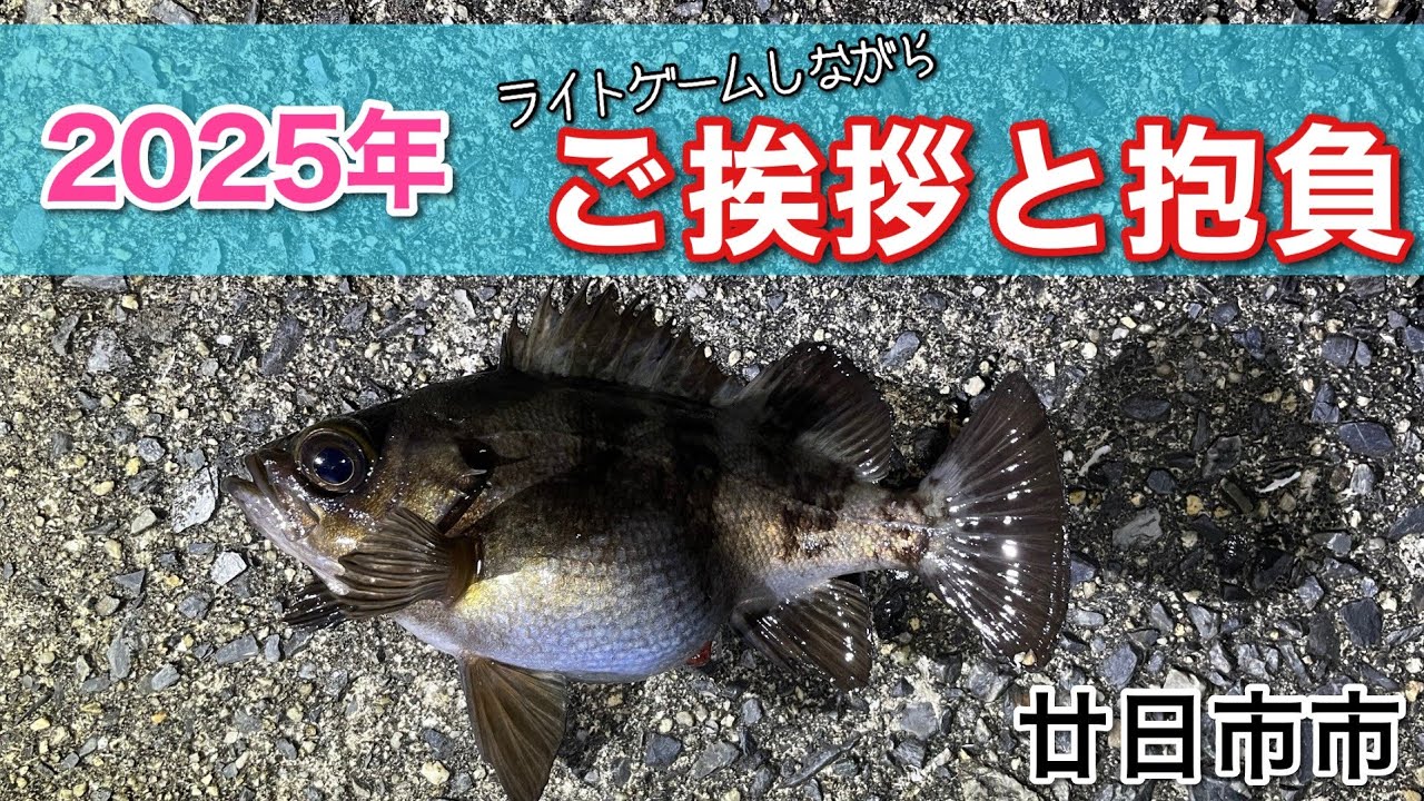 【広島県　廿日市市】新年一発目は緩やかにメバリングしながら、今年の目標を！！