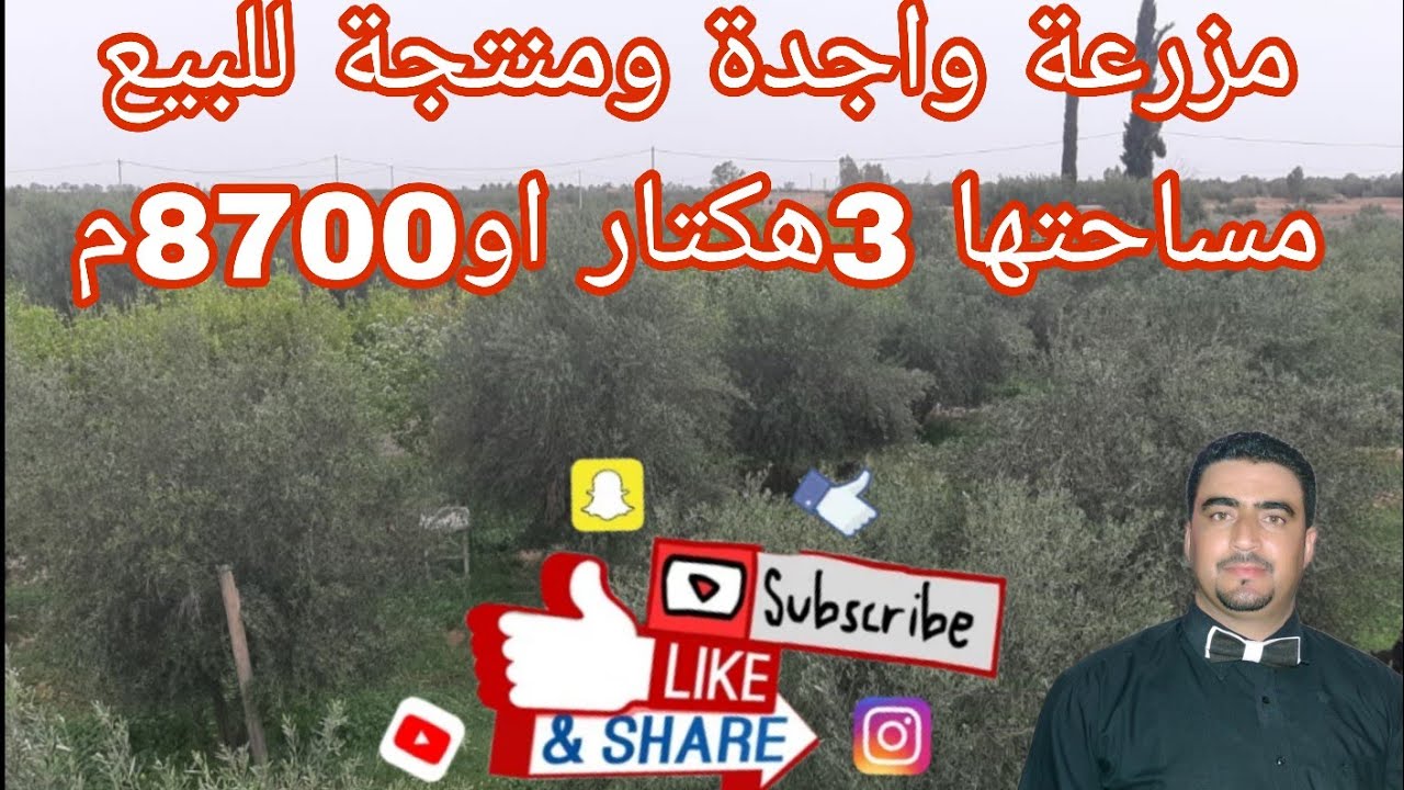 مزرعة واجدة للبيع مساحتها 3هكتار او8700م مجهزة بالكامل ومنتجة كولشي واضح في الفيديو لمهتم مرحبا به