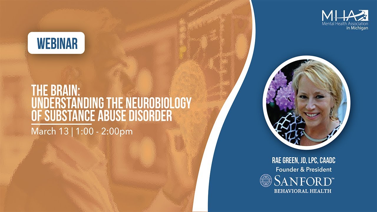 The Brain Understanding the Neurobiology of Substance Use Disorder