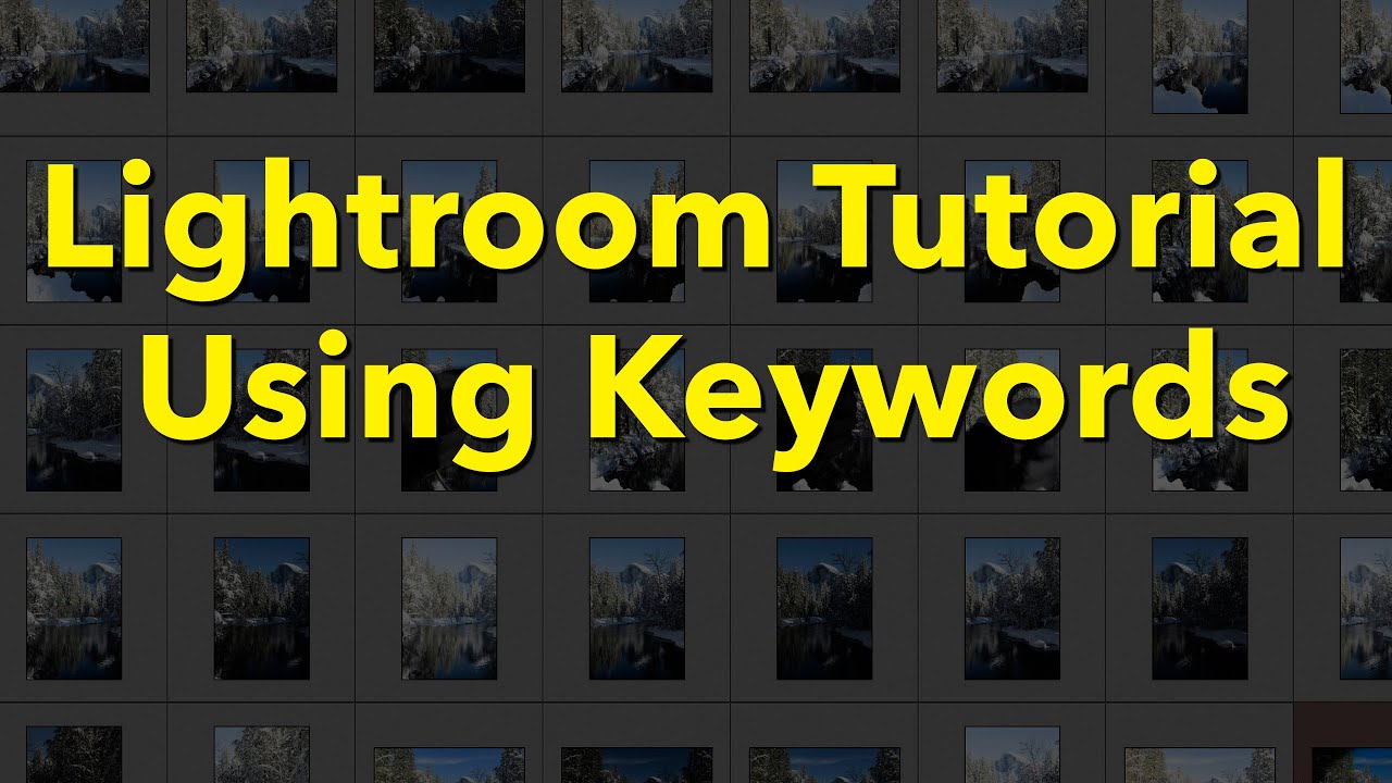 Учебное пособие по Lightroom (Classic) с использованием ключевых слов