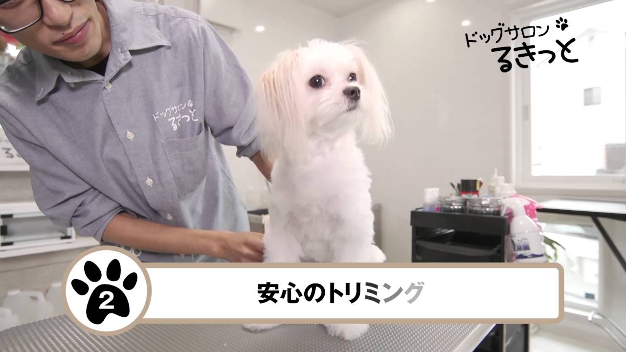 ドッグサロンるきっと