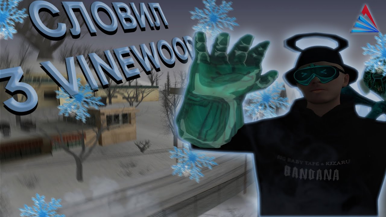 ЛОВЛЯ ДОМОВ, СЛОВИЛ 3 VINEWOOD'A СТОИМОСТЬЮ В 5OO.OOO.OOO$ на ARIZONA RP( GTA SAMP )