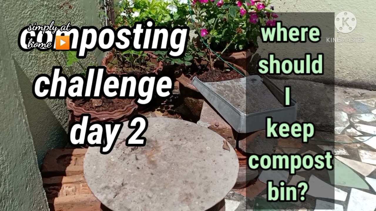 Day2 composting | where should I keep my compost bin? 