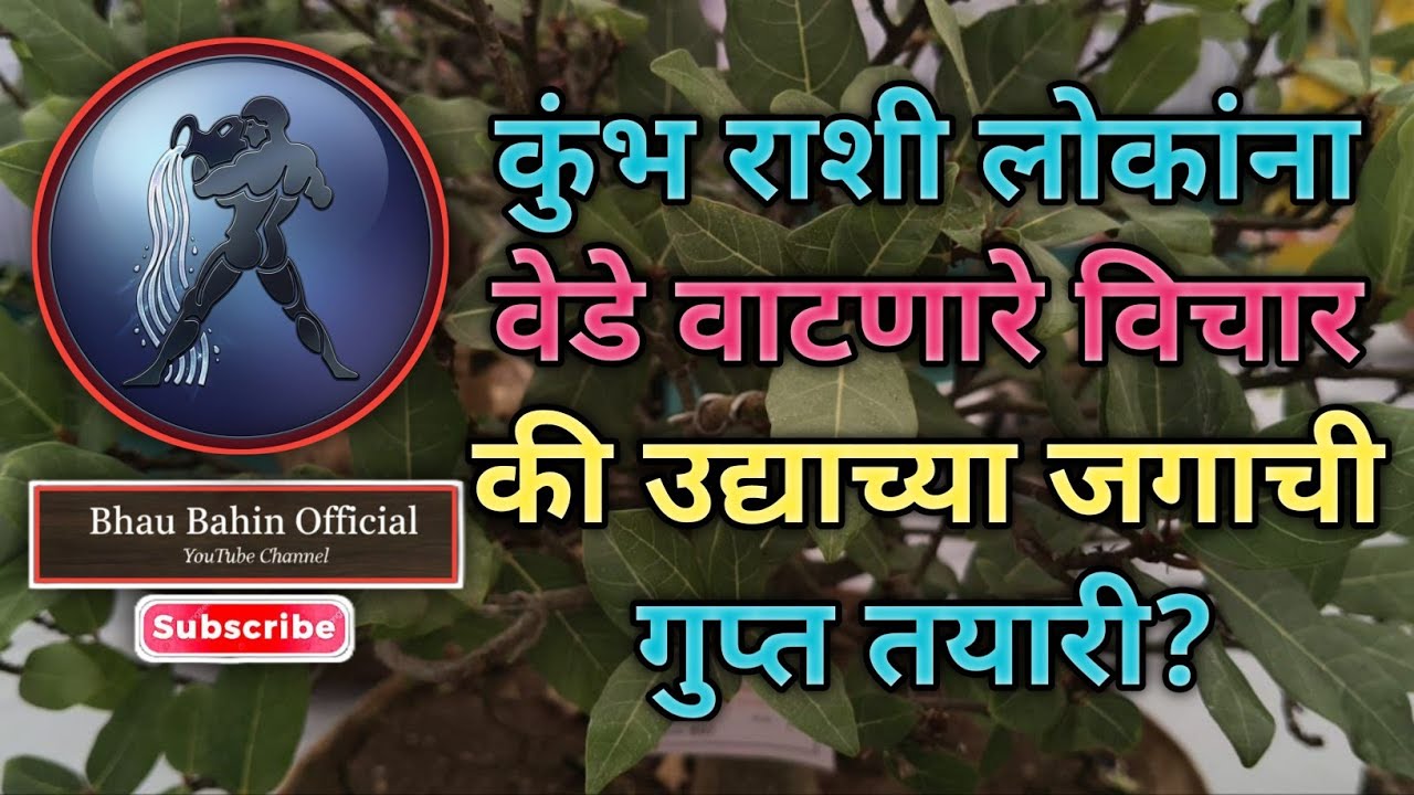 🔮कुंभ राशी वेगळेपण की भविष्याची चाहूल? ज्योतिष सांगते सत्य!