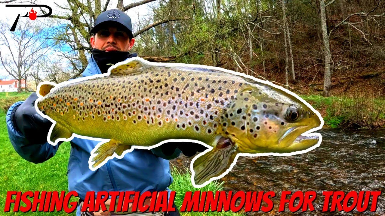 Fishing Artificial Minnows For Trout