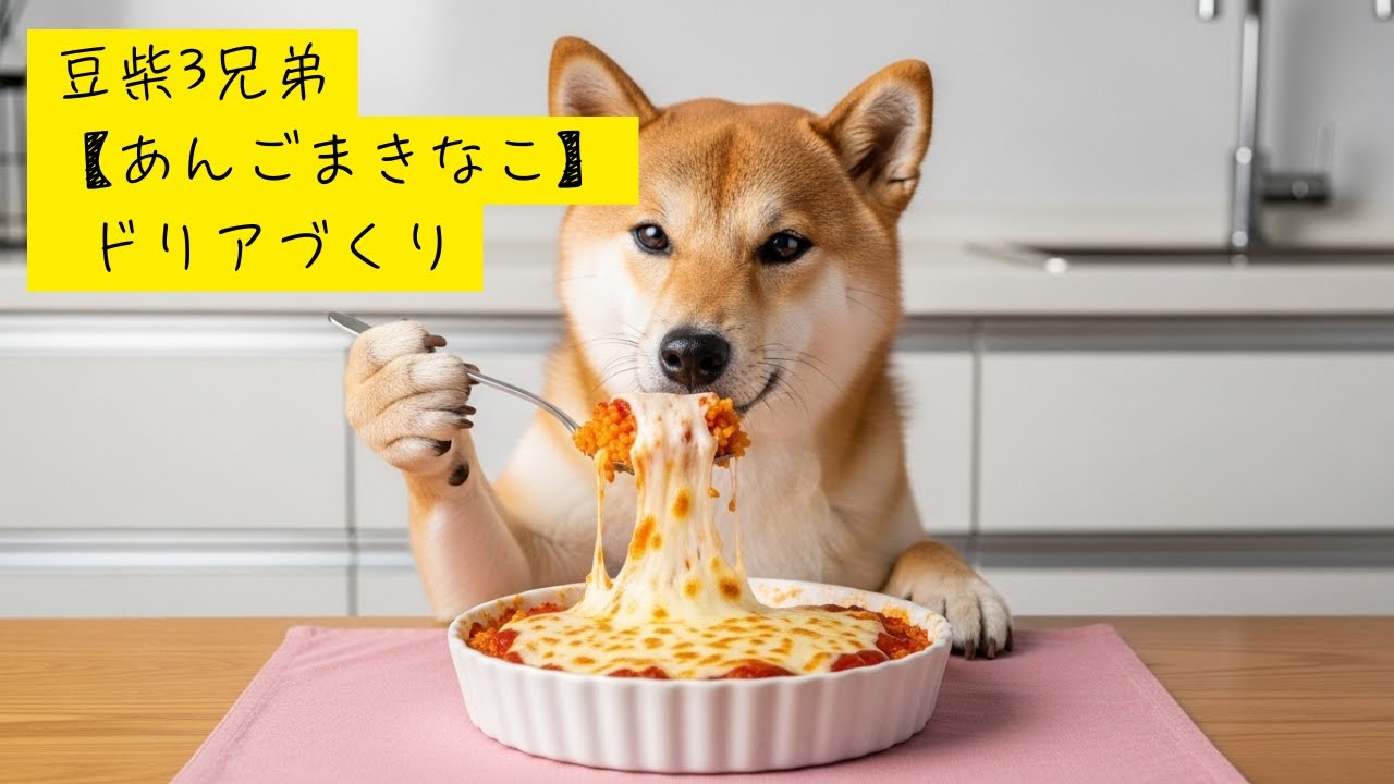 豆柴3兄弟【あんごまきなこ】ドリアづくり・Shibainu Trio's Making Doria