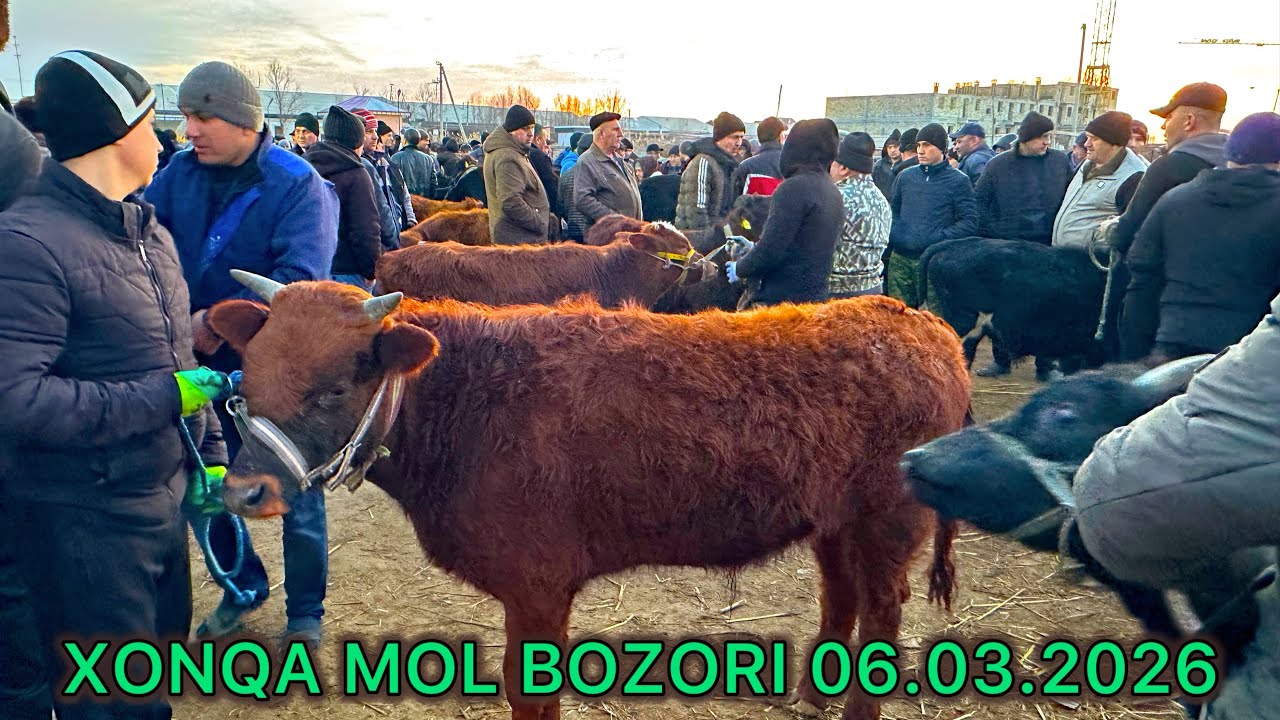 XONQA MOL BOZORI.ALIXON efirda