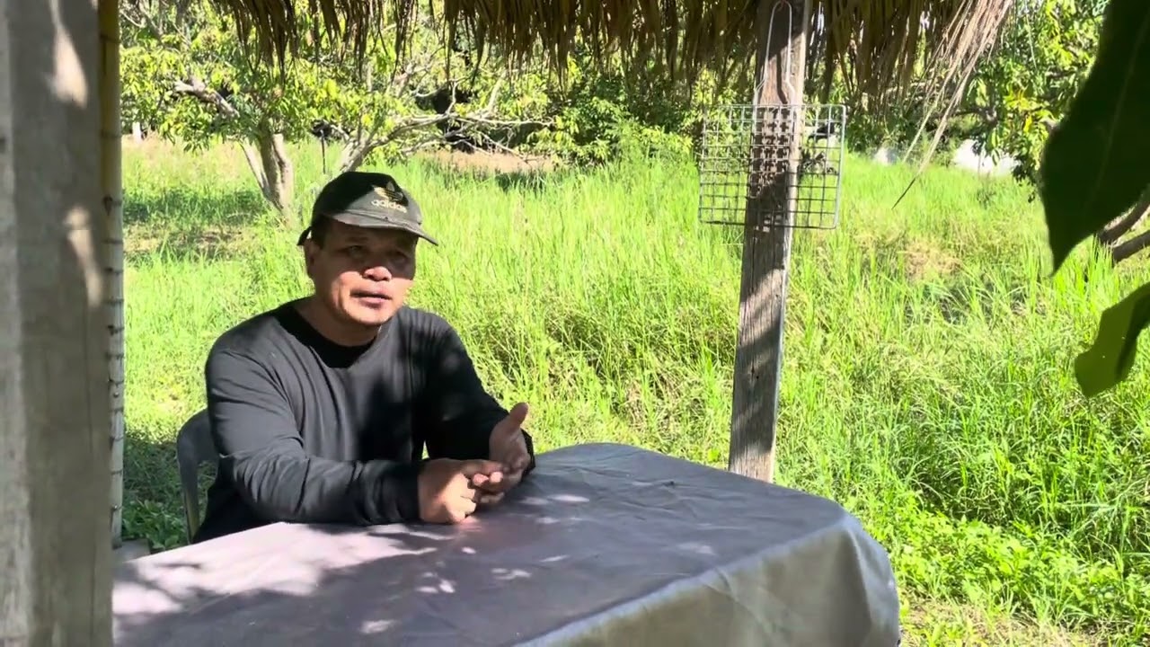 ช่อขึ้นมาทั้งใบทั้งดอก อย่าเพิ่งใส่น้ำ