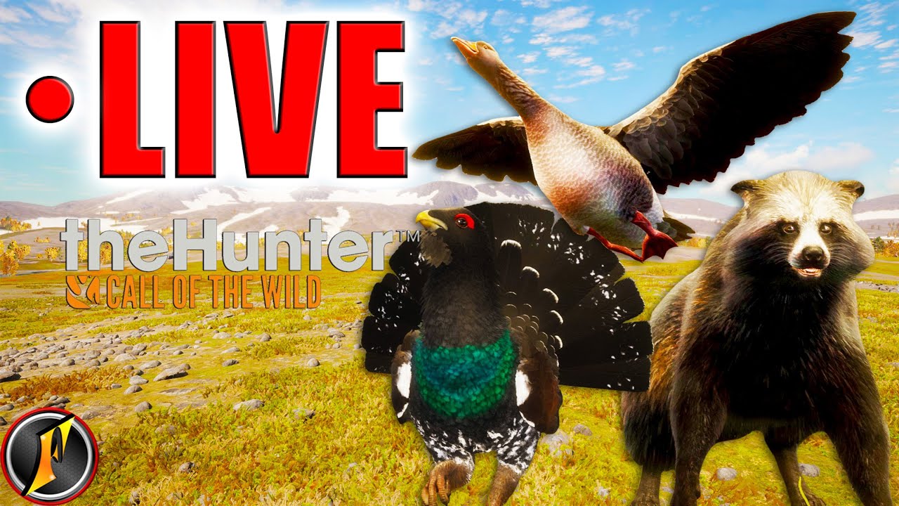 You All Voted! 🎉 Let's Hunt Revontuli Coast for Missing Diamonds! | LIVE!