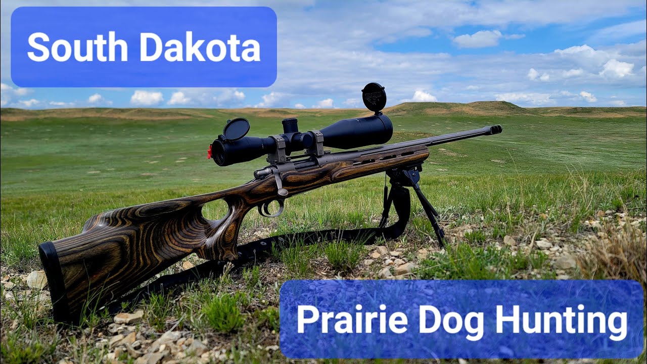 Prairie Dog Hunting, South Dakota