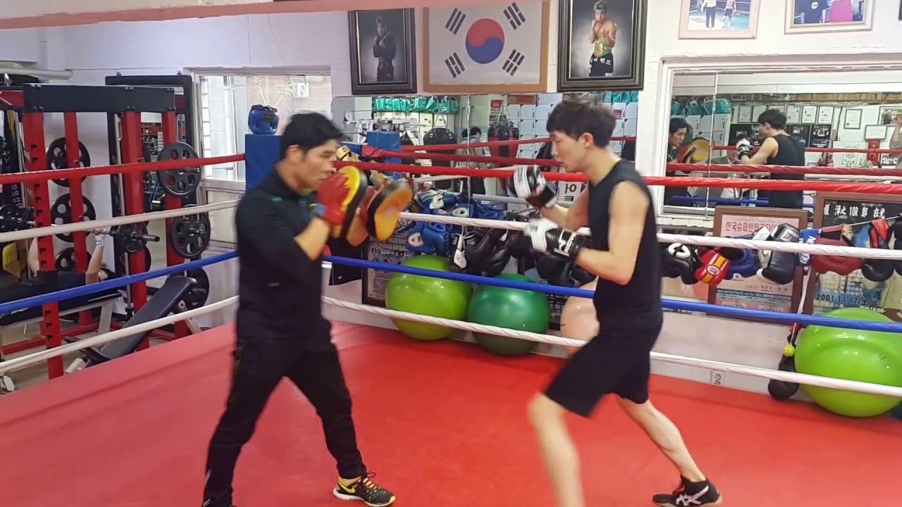 (뻔치) 회기역 정재광 복싱클럽 관장님의 미트지도입니다.