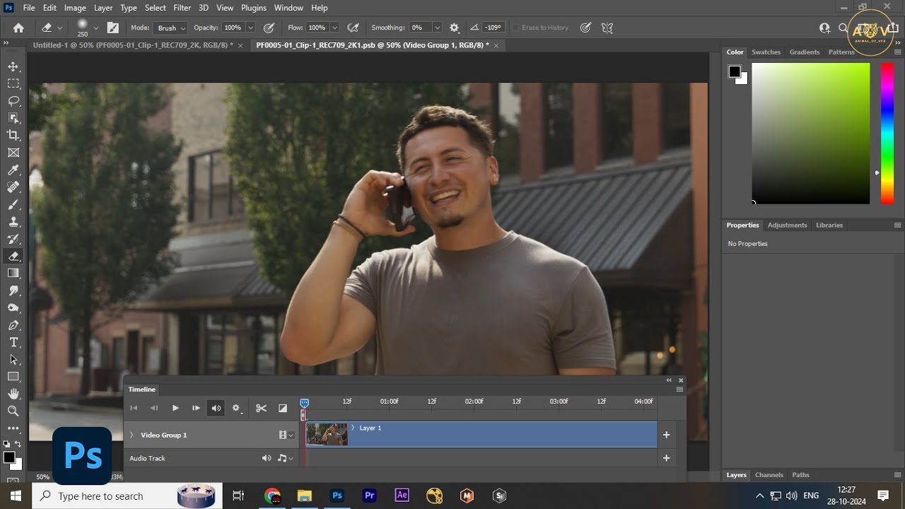 How to do sequence paint in updated Photoshop version for beginners | AOV