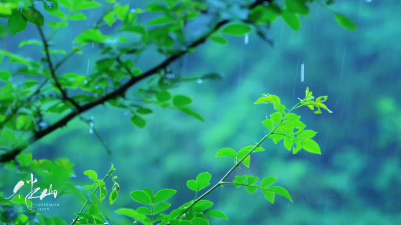 Jingzhe (Awakening of Insects): One of the Twenty-Four Solar Terms in China